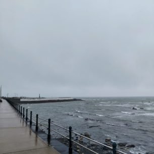 IMG_20250214_102031573~2