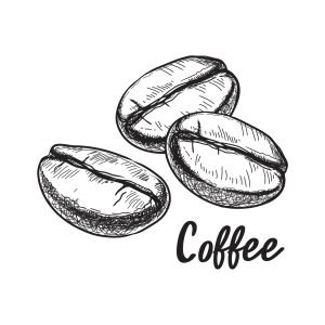 Coffee Beans